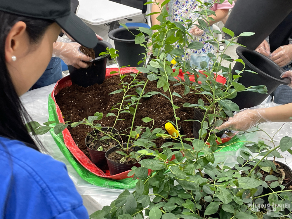 7b3bbc07ff97763bbf6845194c40dde8_1753783523_5126.png 7b3bbc07ff97763bbf6845194c40dde8_1753783523_5126.png